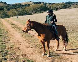The actress enjoys horse riding as well.